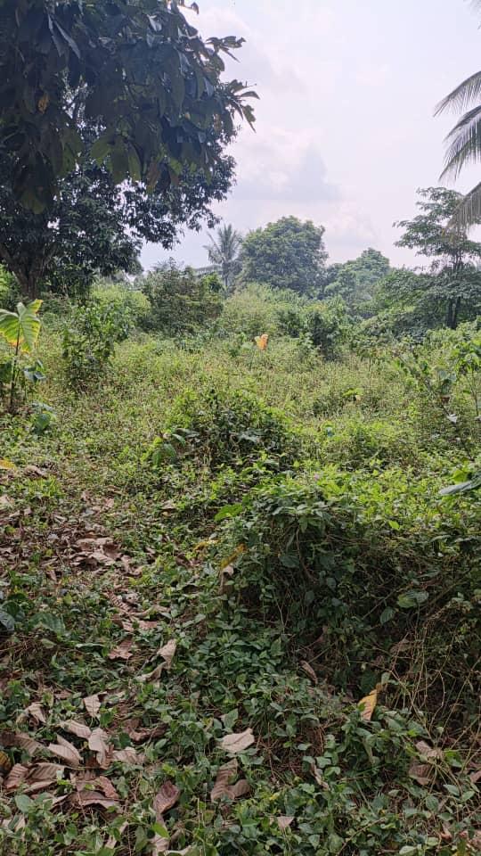 Beautiful land for sale