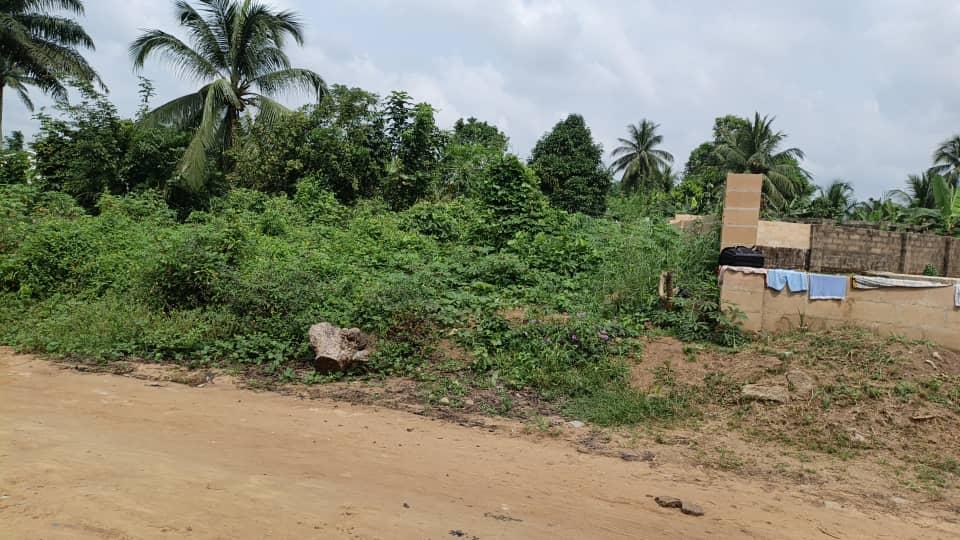 Portable dry land for sale
